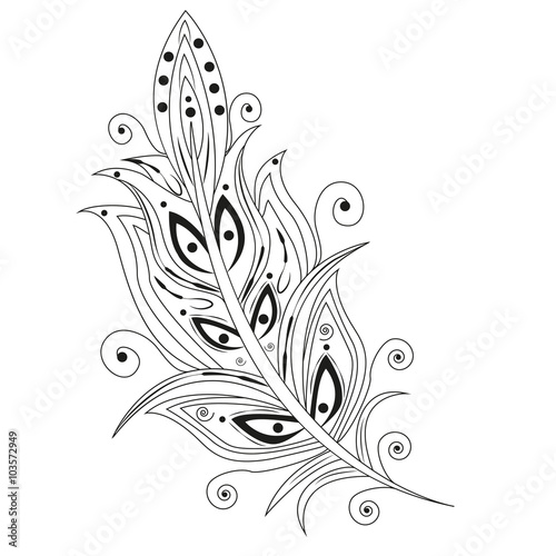 Black and white bird feather vector isolated on white, piuma bianco e nero vettoriale isolata su sfondo bianco