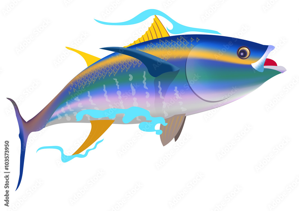 Yellowfin tuna Yellowfin tuna