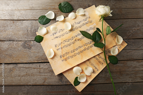 Beautiful rose on music sheets background