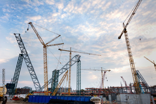 Lage Cranes
