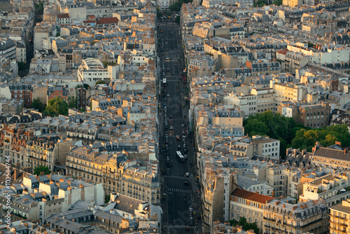 Paris rooftop © rabbit75_fot