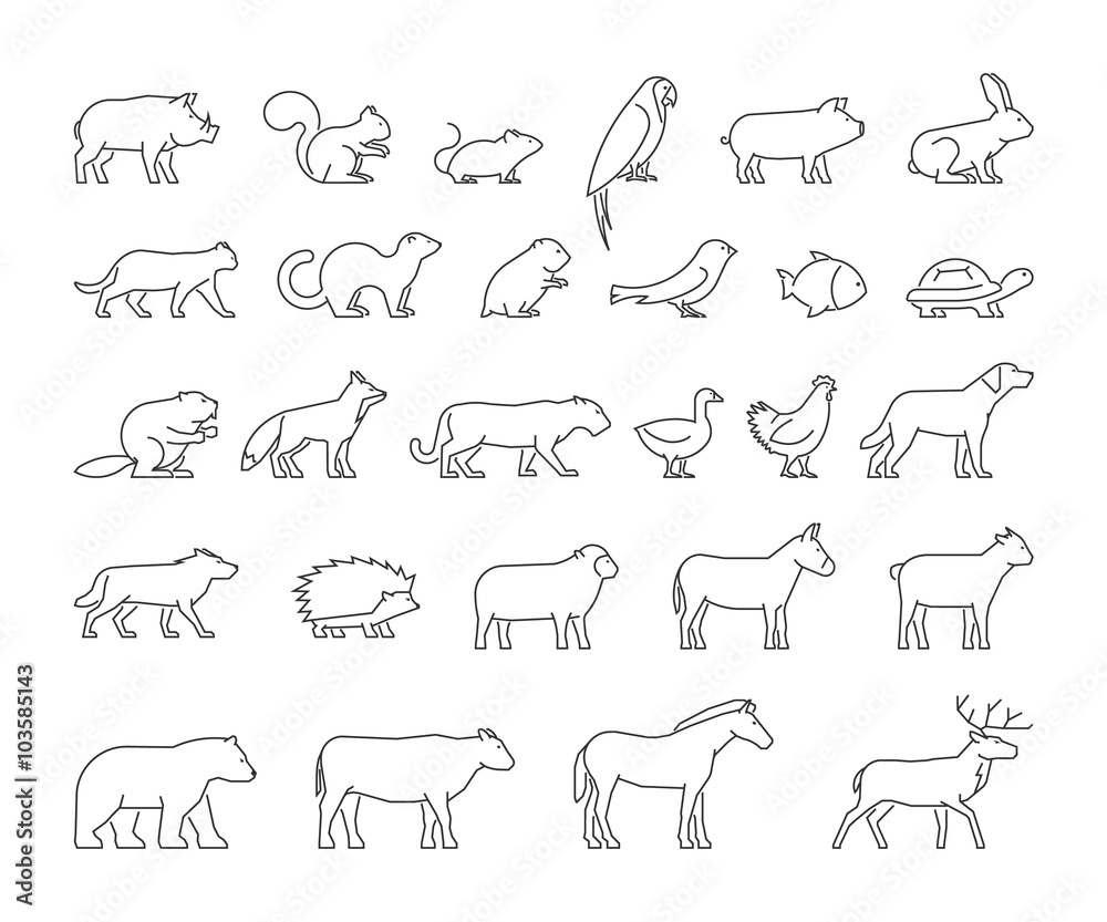 Vettoriale Stock Vector line set of domestic and wild animals. | Adobe Stock