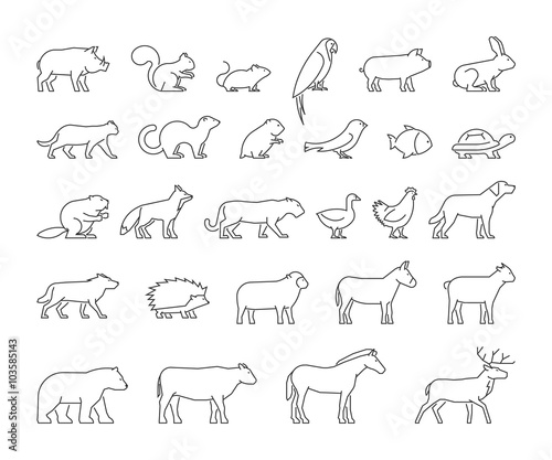 Vector line set of domestic and wild animals.