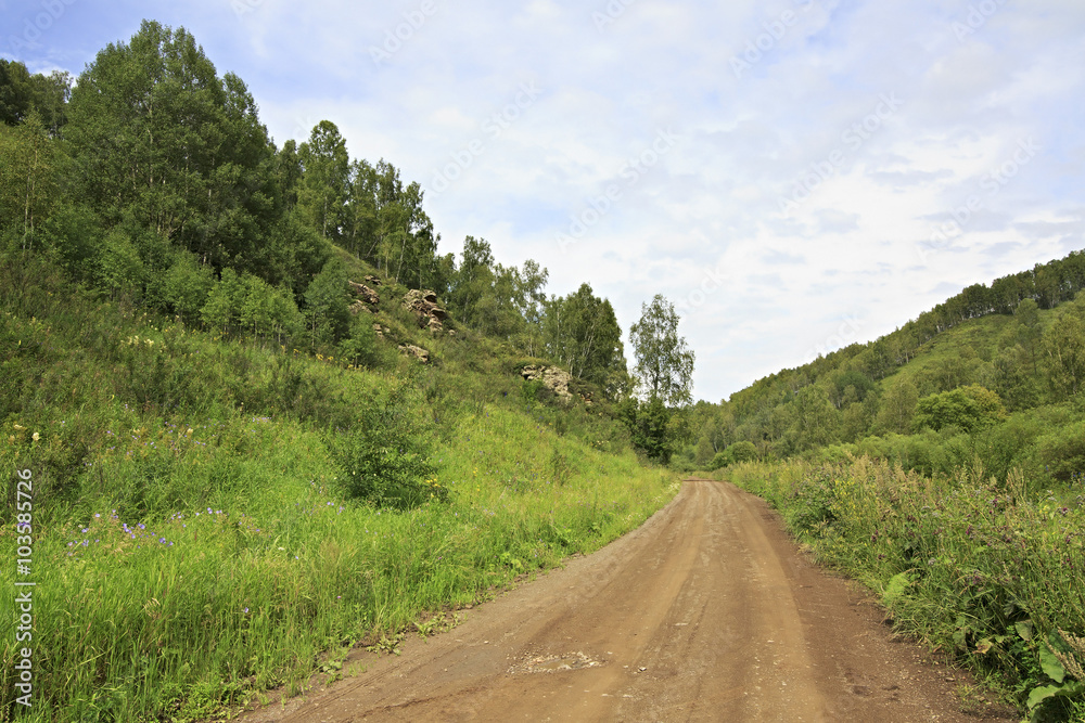Fototapeta premium Beautiful road among mountains. 