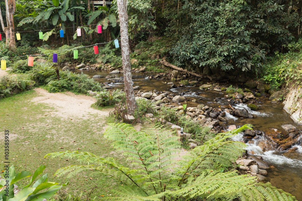 Obraz premium water stream in the park