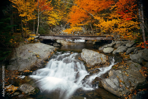 Colorful Autumn creek © rabbit75_fot