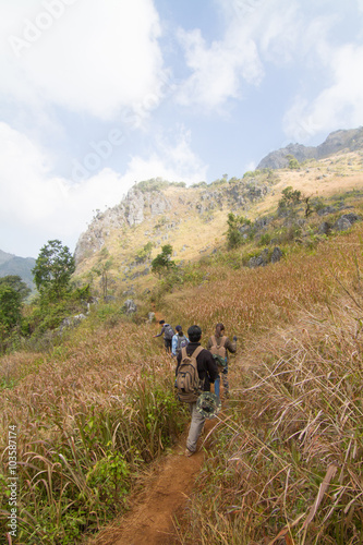 Unidentified Touristm walking in Meadow forest 