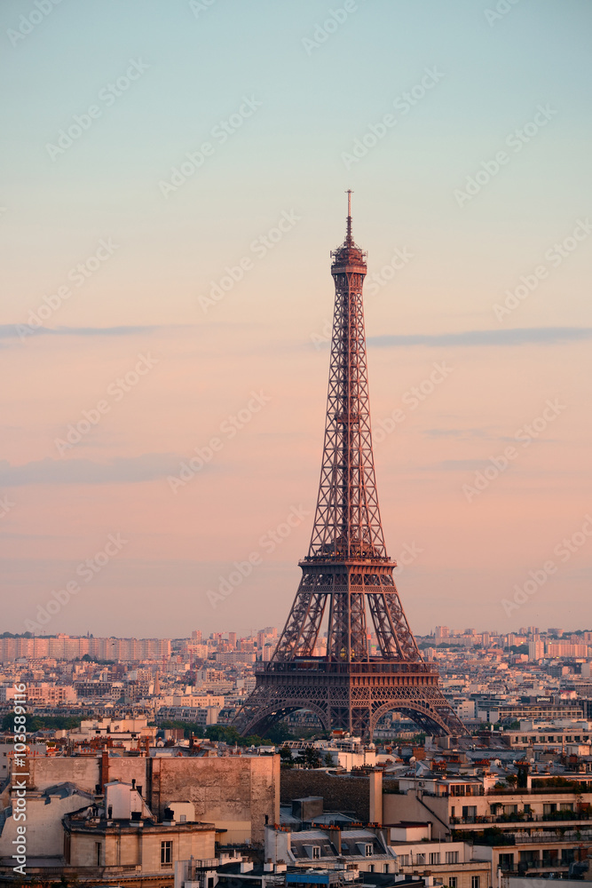 Fototapeta premium Widok na dach Paryża