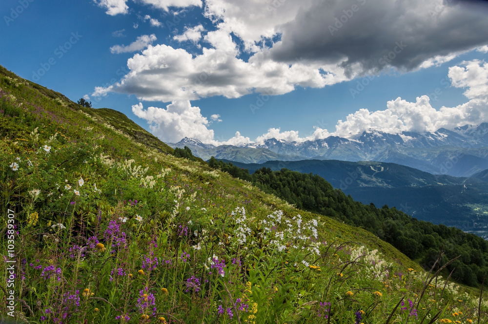 Fototapeta premium Landscape with mountain