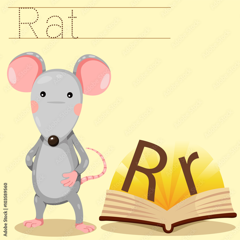 Illustrator of r for rat vocabulary Stock Vector | Adobe Stock