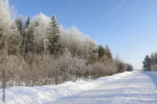 Снежная дорога зимним солнечным днем