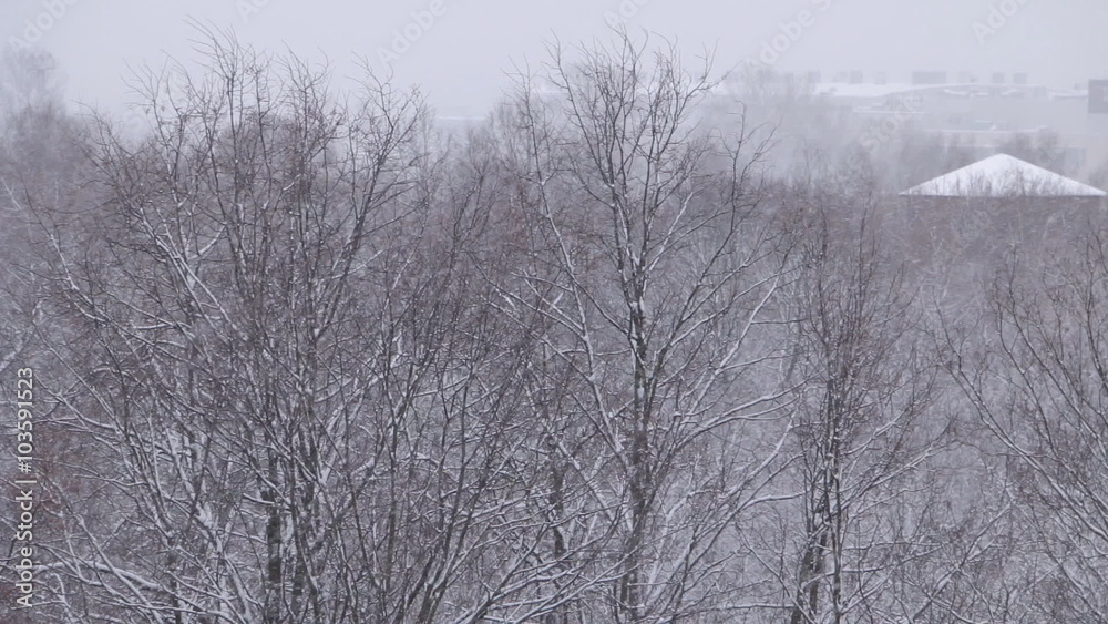 Snow is falling on the trees and roofs. Snowy winter. Snowfall. Tree branches, roofs are under snow. Snowflakes are are falling and flying by. Wind sways the trees. Snow is falling on the trees and roofs. Snowy winter. Snowfall. Tree branches, roofs are under snow. Snowflakes are are falling and flying by. Wind sways the trees.