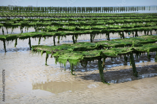 Parc ostréicole.