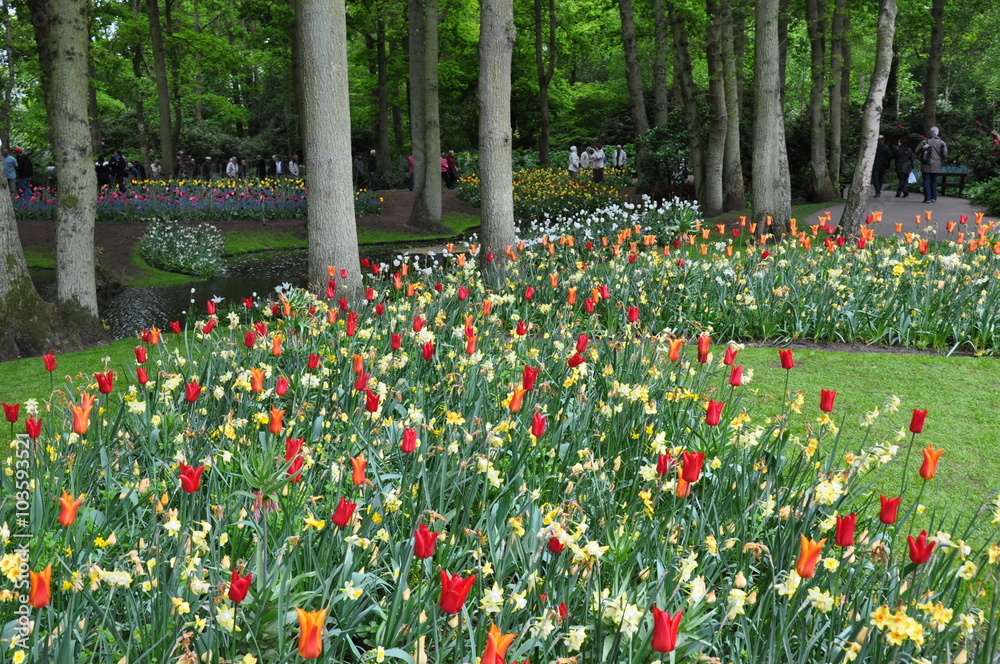 Obraz premium Tulipany