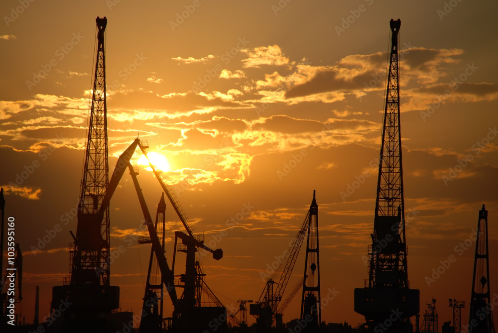 Obraz premium Lots of construction cranes at sunset sky background