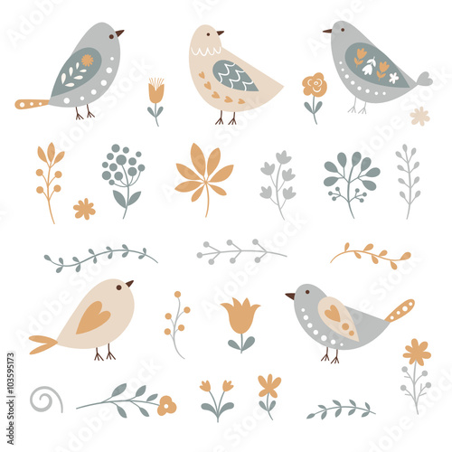 set of graphic floral elements and birds