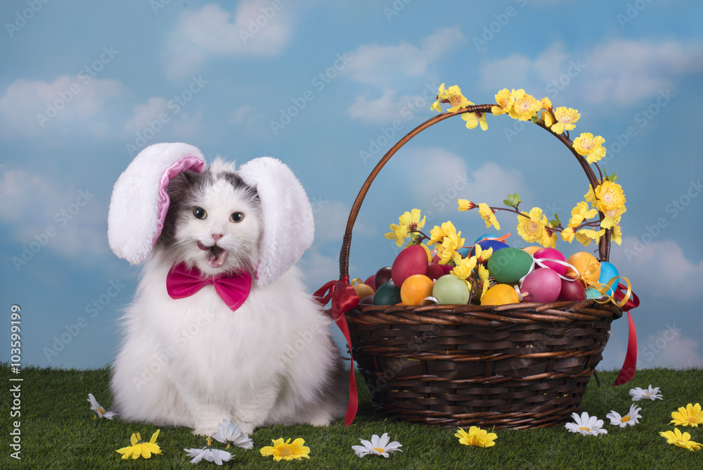 Fototapeta premium cat in the suit bunny celebrates Easter