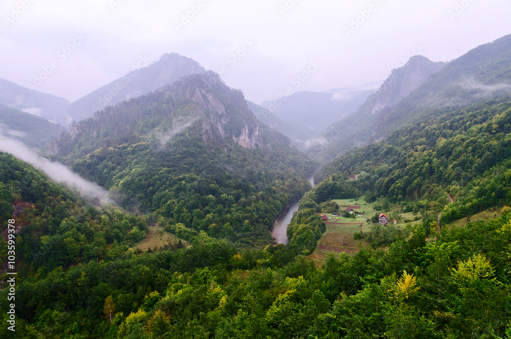 Obraz premium Fog in canyon of river Tara, Montenegro