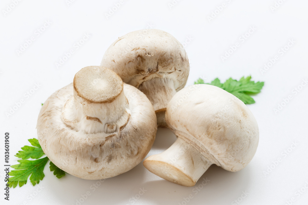 White mushrooms on white background White mushrooms on white background