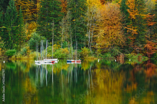 Autumnal scenic view of boats on the Bohinj lake surrounded by colorful forest. Slovenia, Europe, Triglav National Park © pmartike