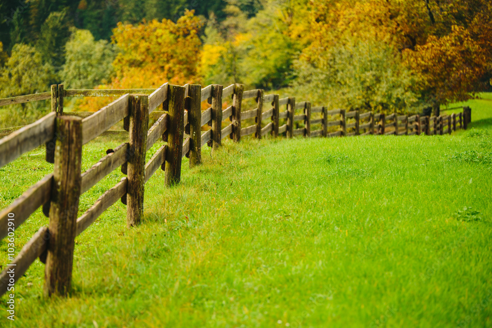 Beautiful green grass meadow with wooden fence in the Alps. Colorful scenic background.