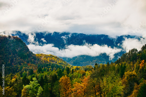 Amazing view of Slovenian forests near Bled, Slovenia.