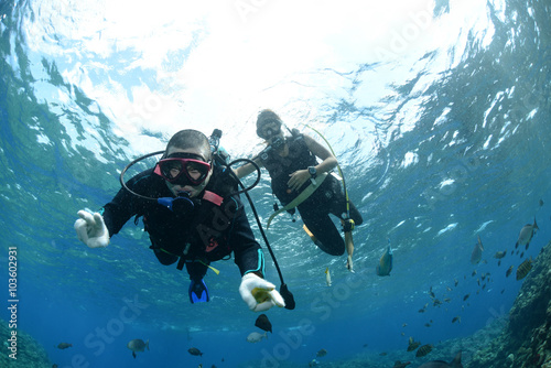 Okinawa Scuba Diving © wildlife