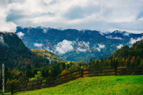 Amazing view of Slovenian forests near Bled, Slovenia.