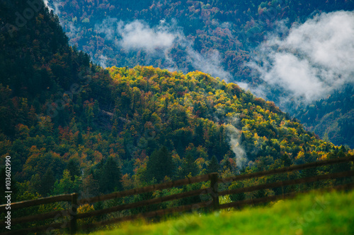 Amazing view of Slovenian forests and meadow near Bled, Slovenia.