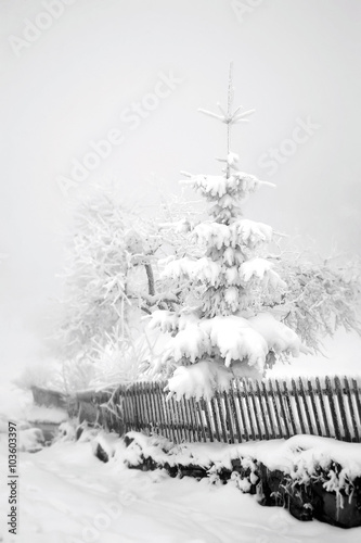 Misty winter in the Transcarpathian village photo