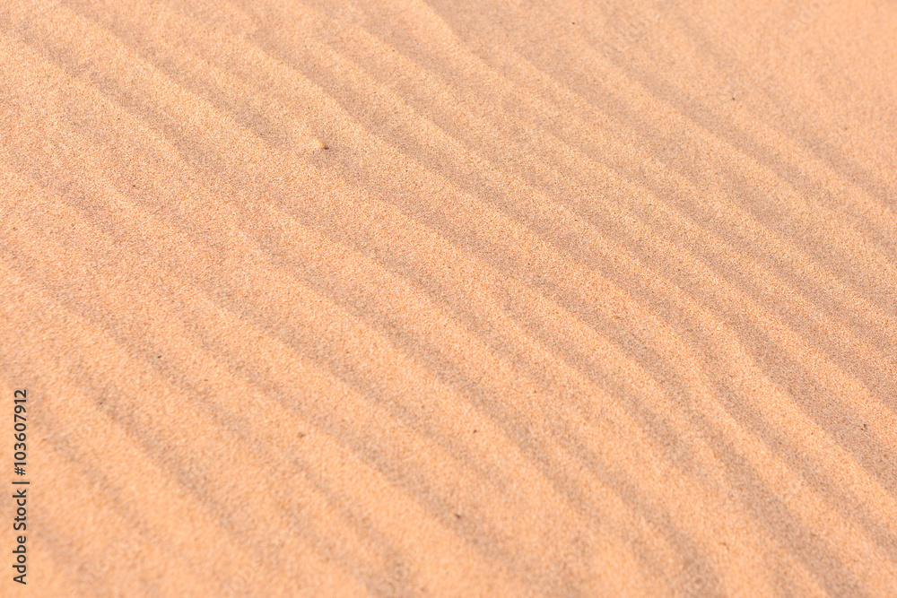 Wind Print on Sand Wind Print on Sand