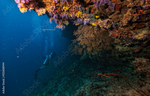 Group of scuba divers underwater © Jag_cz