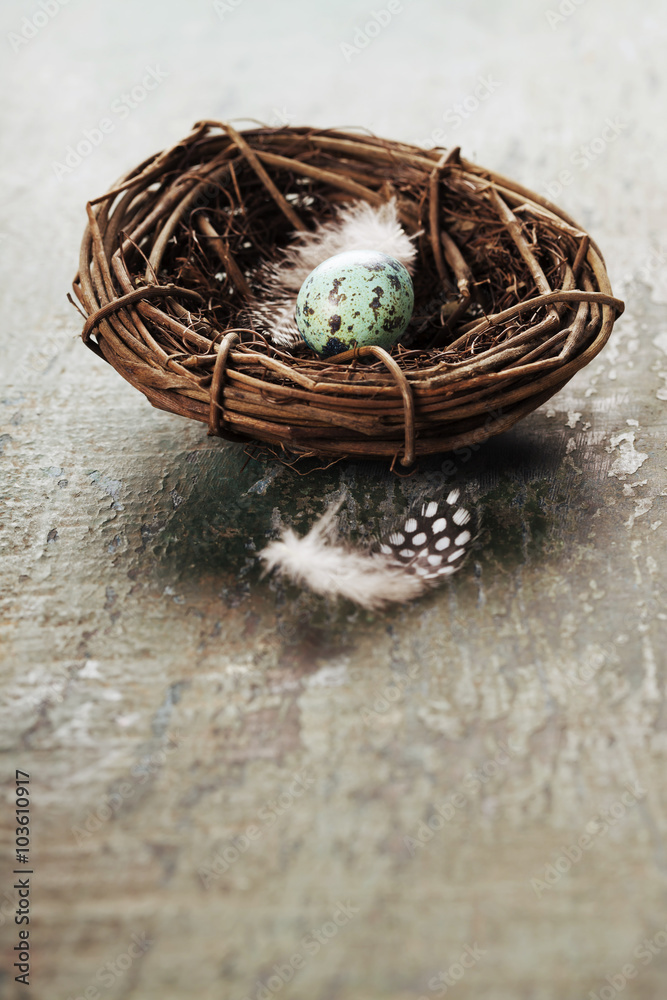 Easter composition with eggs and nest Easter composition with eggs and nest
