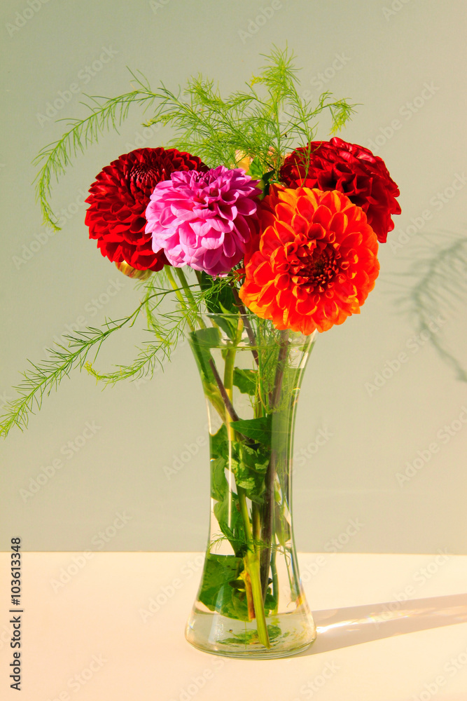 Obraz premium Dahlias in the Vase on the light Background