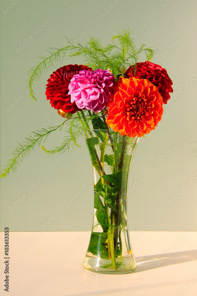 Fototapeta premium Dahlias in the Vase on the light Background