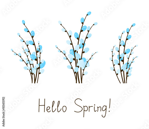Set of pussy-willow bouquets isolated on white