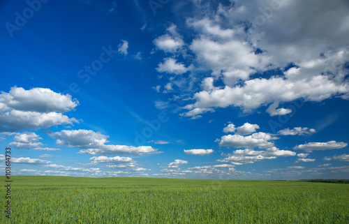 Sky and field.