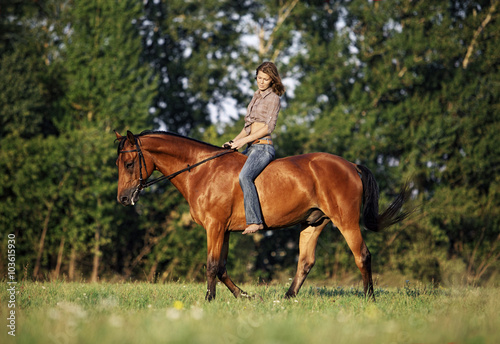 Equestrian riding horse in evening woods, in the background a summer countryside