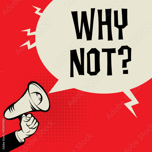 Megaphone Hand, business concept with text Why Not