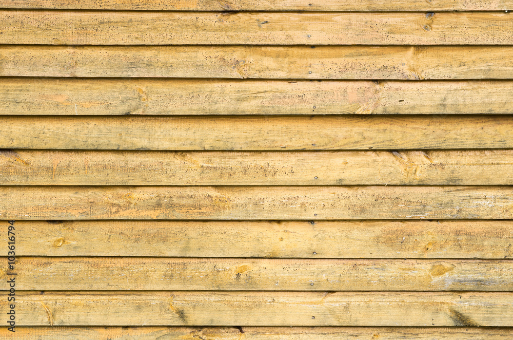 Fototapeta premium wood texture