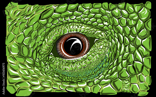 Ojo de iguana.