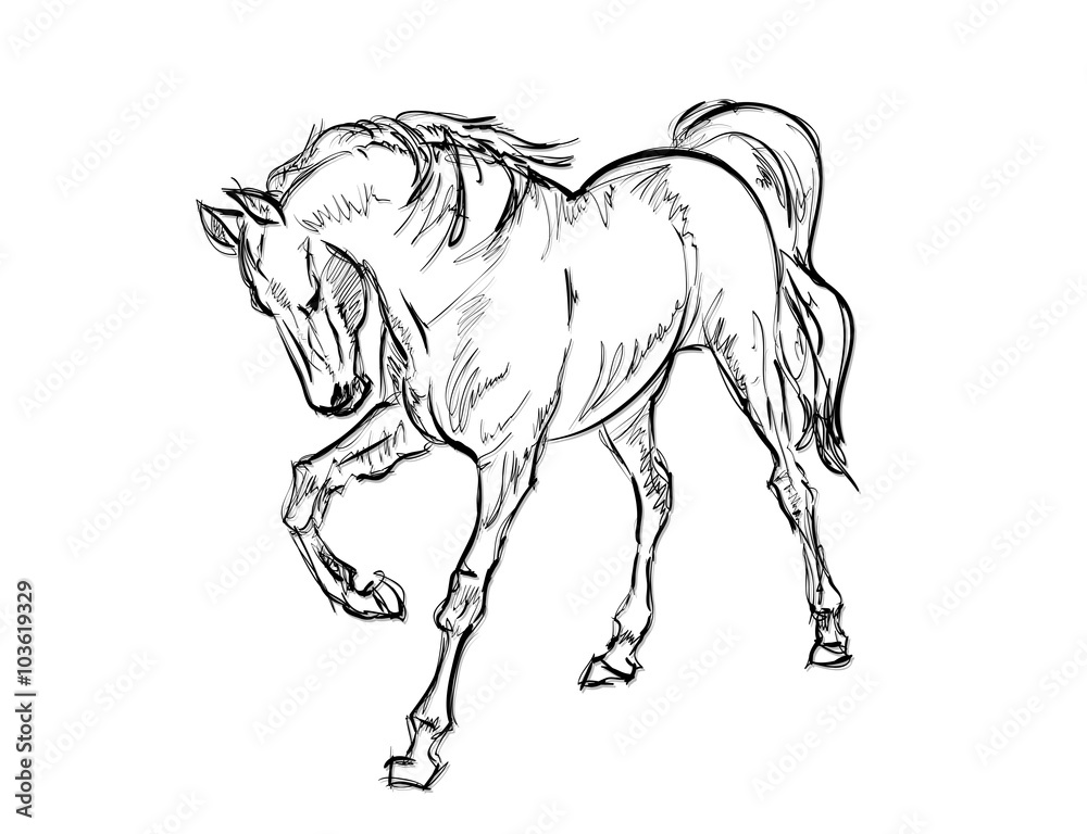 Galloping horses. Hand-drawn illustration