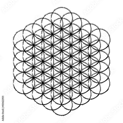 Flower of life vector