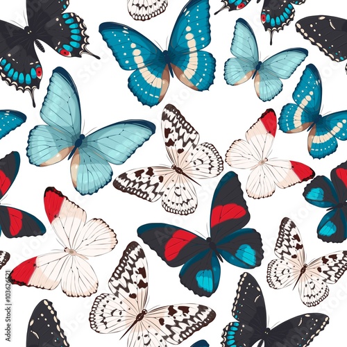 Colorful butterflies seamless