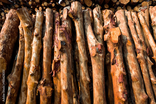 Pile of wood logs ready for winter - wood logs background