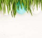 Easter Eggs with grass