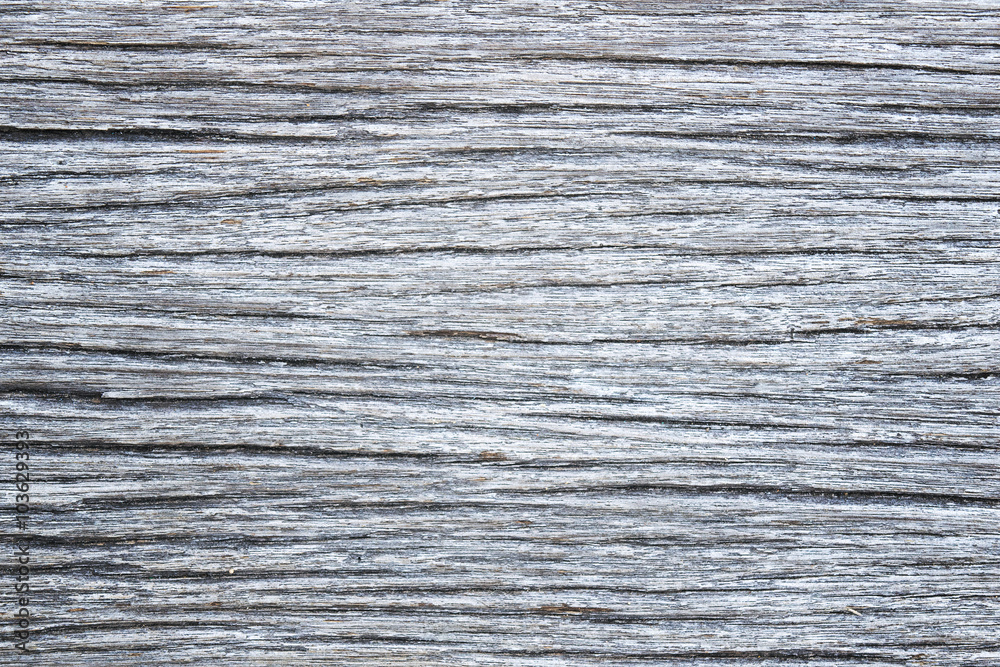 Fototapeta premium Gray wood background texture - retro vintage style