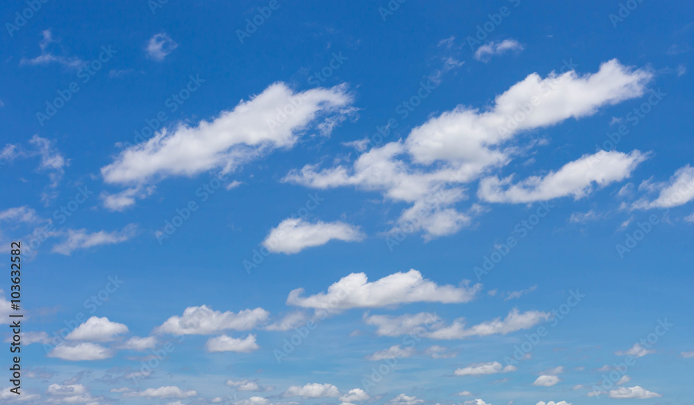 Fototapeta premium blue sky blackground