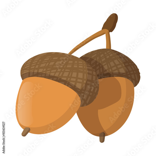 Acorn cartoon icon