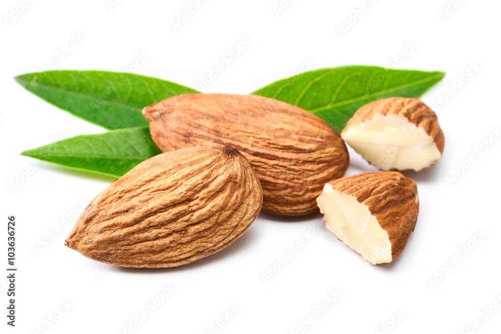 almond on white almond on white